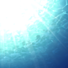 西海子(さいかち)