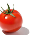 トマト親衛隊「＆」愛好家