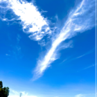 時代屋こあら🐨