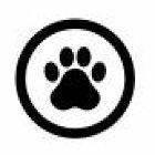 蟻か　あれ！？