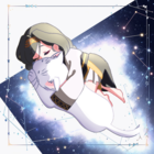 望月 ハク