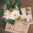 哀木ストリーム