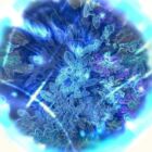 良玄(りょーげん)