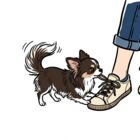フトダマノミコト