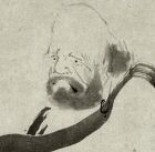 洋夏晴崇(YOKA SEISHU)