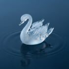 水鳥聖子