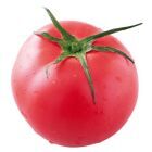 トマジャパ幸喜