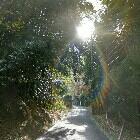 フラワーチム！