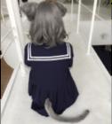 にゃんにゃん