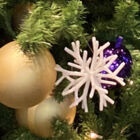 七川湖穂 / 掛園湖冬