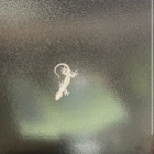 まさかのまさかり