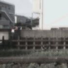 ムーンシュガー