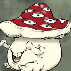 haruka8037@gmail.com