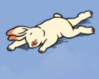 寝たフリうさぎ