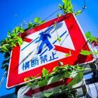 米沢サユリ