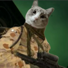 世にも奇妙な世紀末暮らし