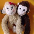 みどりのたぬき