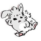 未苑真哉　misonomaya*