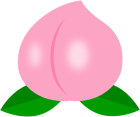 もも翔子