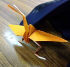 夢幻望無　むきょうのぞむ