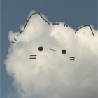 白石goo