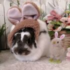 ひゃくえんらいた