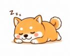 しばゎんゎん