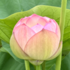 バンブーたけぞう & ki☆ki