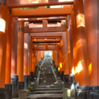 3代目尊大大魔王さん