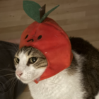 はなうた