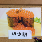 サメジマ