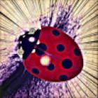 ＮＩＺ↑Ｏ↓ＺＩＮ