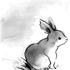 LABBIT