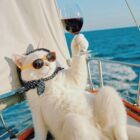 盛桃李もりももり