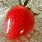 小説初心者のかす