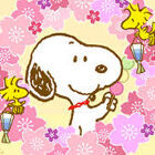 シルキィピンク