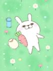 けねす55