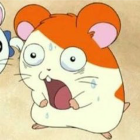 ﾎﾓﾀﾛｻｧﾝ