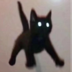 フェリ