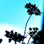 永久(時永)めぐる