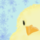 ひなこ