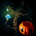 (˙꒳˙ 三 ˙꒳˙ 三 ˙꒳˙)