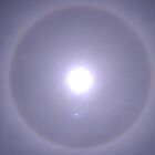 おかむら　めい