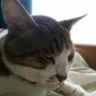 アルトアイゼン