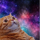 りんごちゃん。