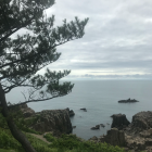 福井　佑