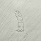 カクレクマノミ