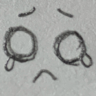 ショコラッテ。