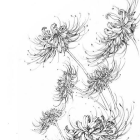 おしゃれスナイプ