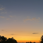 ブルーパイレーツ